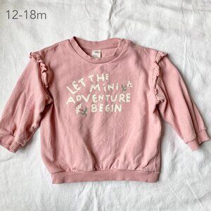 🪴5/$30 H&M 12-18 Months Baby Toddler Girl Pink Ruffle Crewneck Sweatshirt
